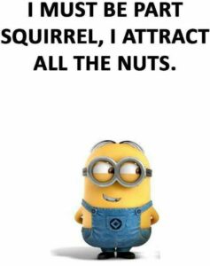 frustrated quotes minions