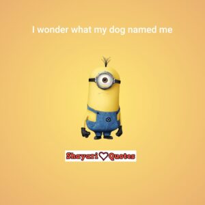 minions quotes facebook