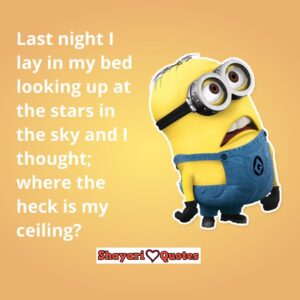minions quotes funny life