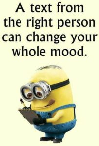 minions quotes vedo vedo