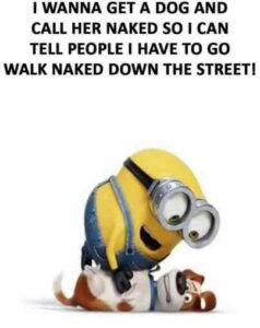 quotes about friday minions